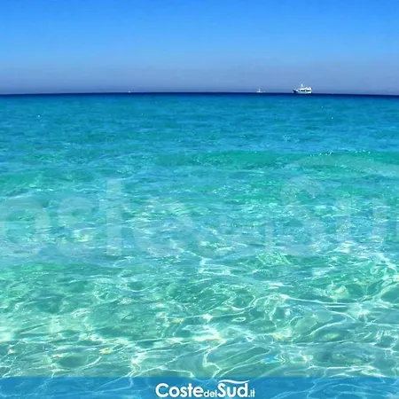 Studio In With Enclosed Garden And Wifi 8 Km From The Beach Apartman